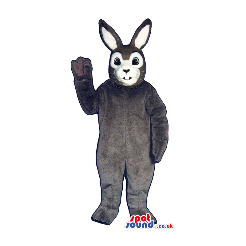 Dark Grey Bunny Rabbit Plush Mascot With A White Face - Custom