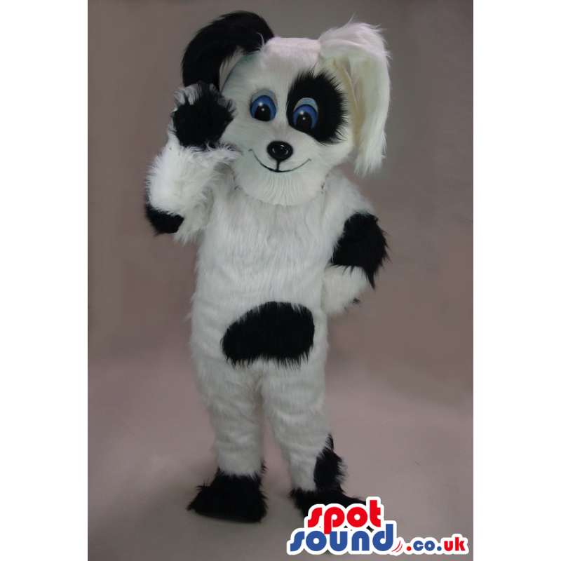 Hairy White And Black Dog Pet Plush Mascot With Blue Eyes -