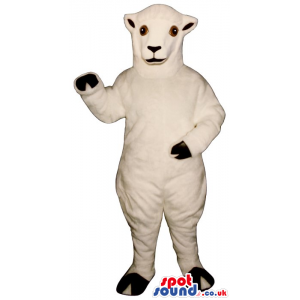 Customizable All White Sheep Plush Mascot With Round Brown Eyes