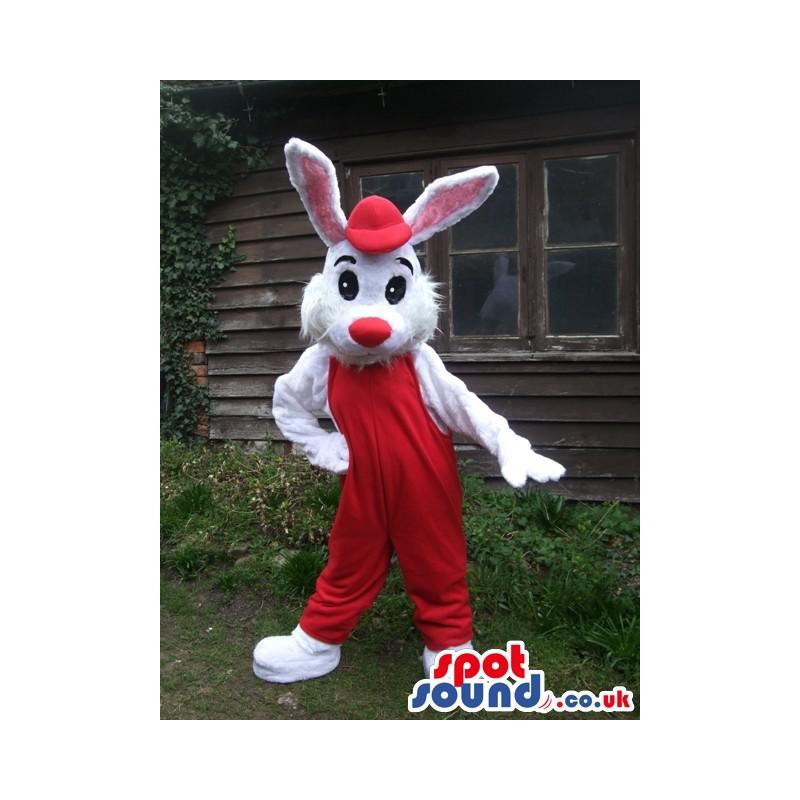 White rabbit mascot dancing in her red jumper and red cap -