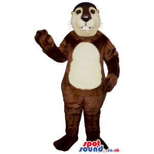 Customizable Brown Chipmunk Plush Mascot With A Round Belly -