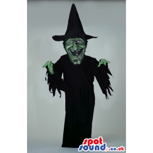Realistic Green Witch Mascot With Black Hat And Dress - Custom