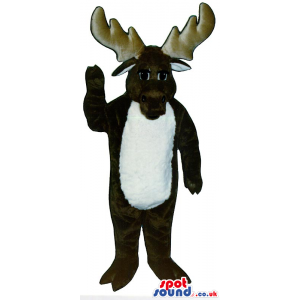 Customizable Brown Moose Animal Mascot With A White Belly -