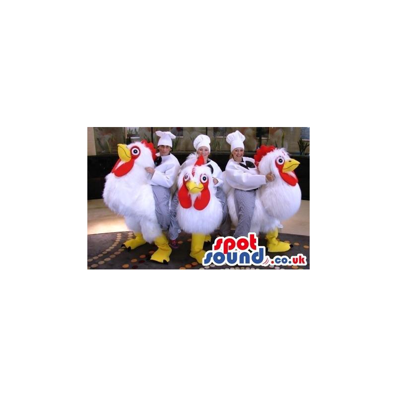 Three white chicken mascot in cute smile looking fun - Custom