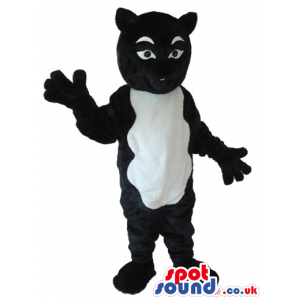 Black And White Exotic Cat Plush Mascot With A White Belly -