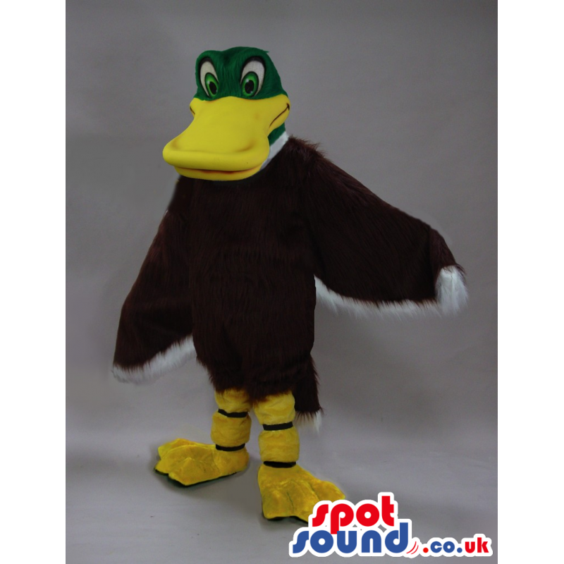 Soft Black Duck Mascot With A Big Orange Beak And Green Head -