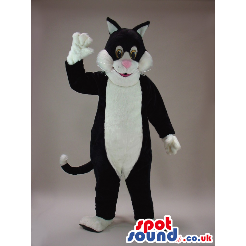 Cute Big Black Cat Plush Mascot With A White Belly - Custom