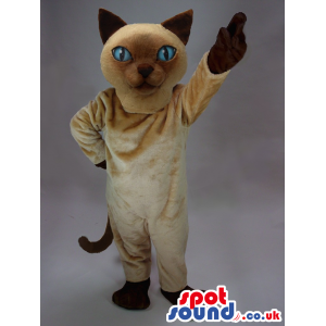 Cute Brown Siamese Cat Plush Mascot With Blue Eyes. - Custom