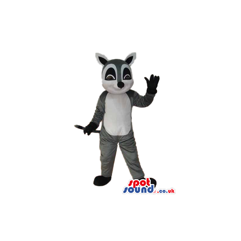 Cartoon Grey Raccoon Plush Mascot With White Belly And Black