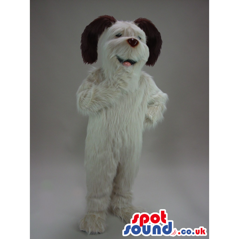 Black And White Hairy Dog Plush Mascot With Big Ears. - Custom