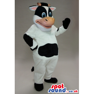 Cow Animal Plush Mascot With A Belly With Big Black Spot -