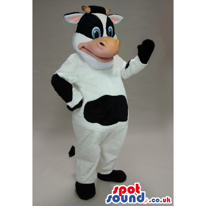 Cow Animal Plush Mascot With A Belly With Big Black Spot -