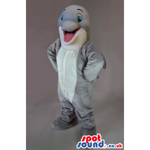 Cute Happy Grey Dolphin Mascot With A White Belly - Custom