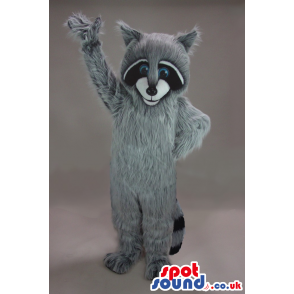 Cute Hairy Grey Raccoon Plush Mascot With Blue Eyes - Custom