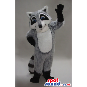 Cute Hairy Grey Raccoon Plush Mascot With A White Belly -