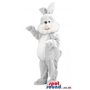 Gray and white rabbit mascot with bunny teeth and a open mouth