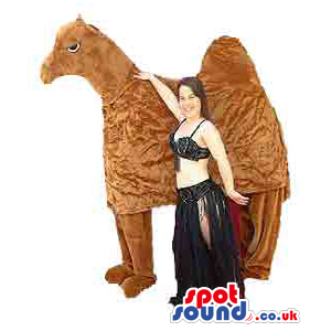 Dromedary Mascot And An Adult Size Belly Dancer Costume -