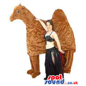 Dromedary Mascot And An Adult Size Belly Dancer Costume -