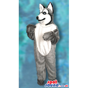 Realistic Grey And White Wolf Or Husky Dog Plush Mascot -