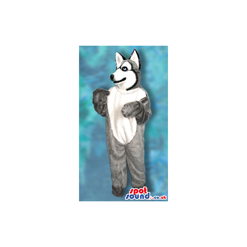 Realistic Grey And White Wolf Or Husky Dog Plush Mascot -