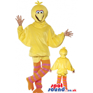 Big Bird Sesame Street Character Adult Size Costume - Custom