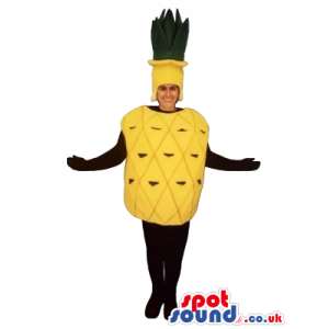 Yellow Pineapple Fruit Adult Size Costume Disguise - Custom