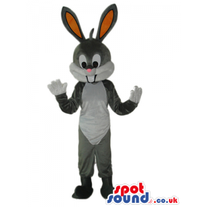 Cute Bugs Bunny Animal Cartoon Warner Bros. Character Mascot -