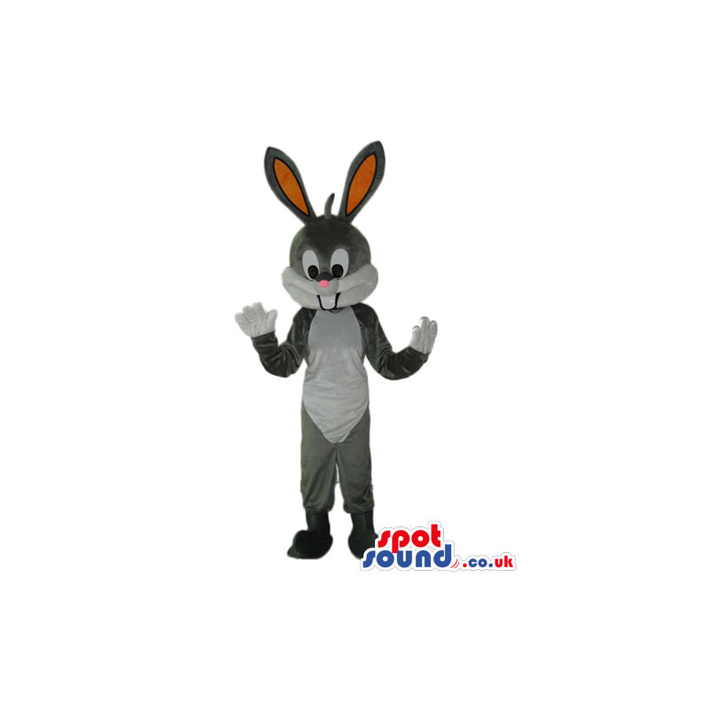 Cute Bugs Bunny Animal Cartoon Warner Bros. Character Mascot -