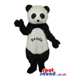 Cute Panda Bear Plush Mascot With Text On Its Belly - Custom