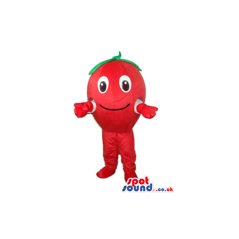 Cute Red Apple Fruit Plush Mascot With Happy Face - Custom