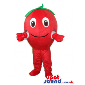 Cute Red Apple Fruit Plush Mascot With Happy Face - Custom