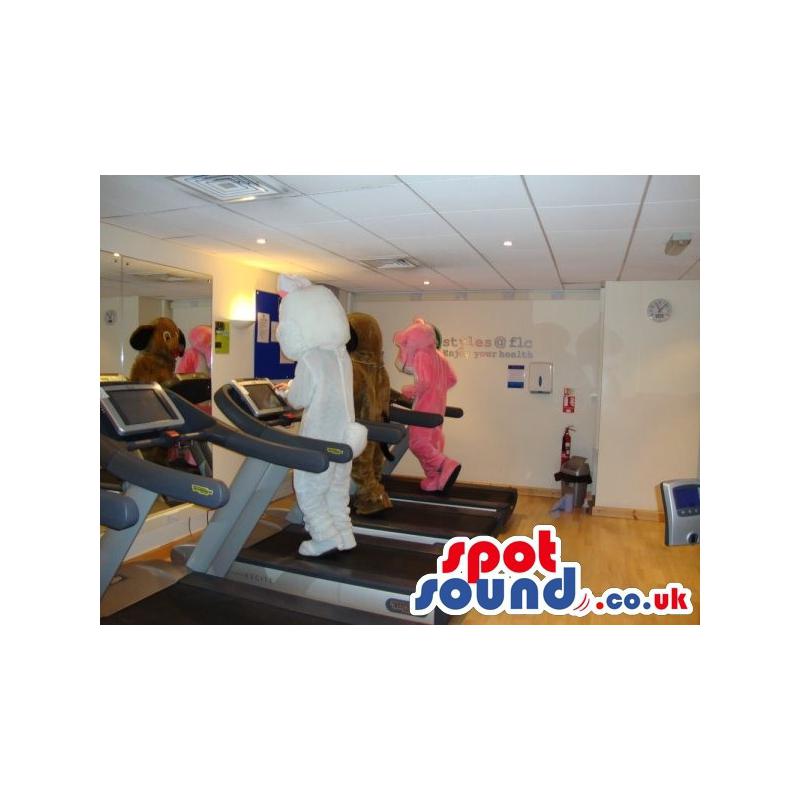 Three cute mascots doing exercise in the gym in a treadmill -