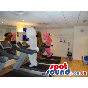 Three cute mascots doing exercise in the gym in a treadmill -
