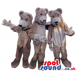 Three Beige Bear Character Plush Mascots With Big Heads -