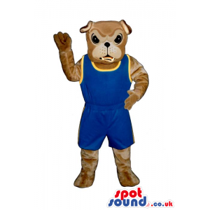 Angry Brown Bulldog Mascot Wearing Blue And Yellow Sports