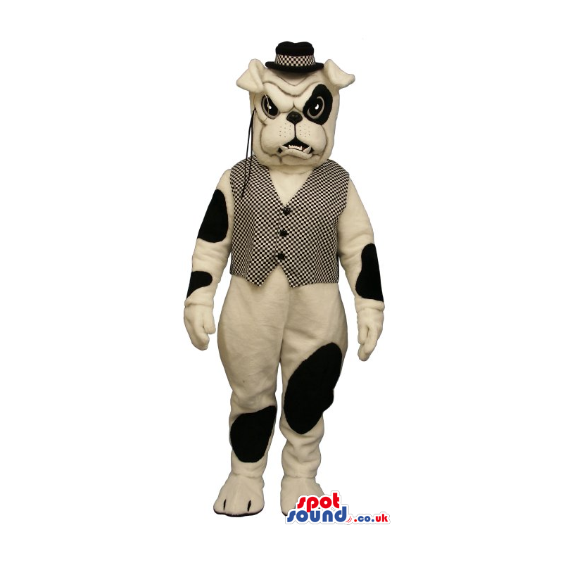 White And Black Bulldog Mascot Wearing A Vest, Hat And A