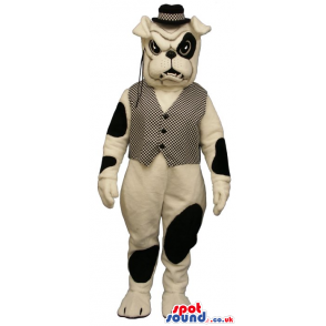 White And Black Bulldog Mascot Wearing A Vest, Hat And A