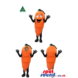 Carrot Vegetable Mascot Or Costume In Three Different Versions