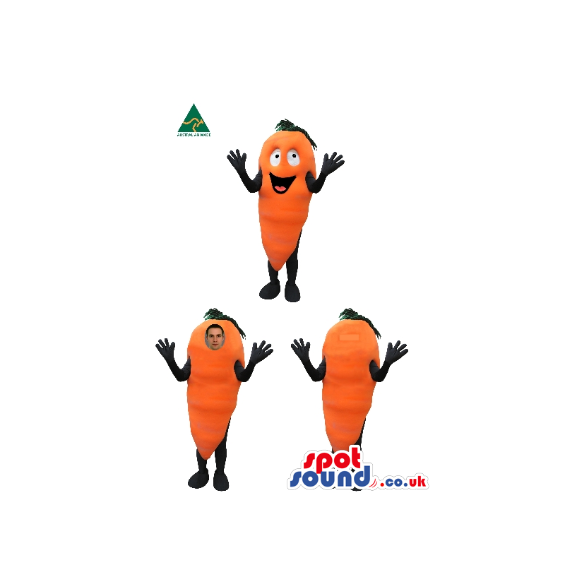 Carrot Vegetable Mascot Or Costume In Three Different Versions