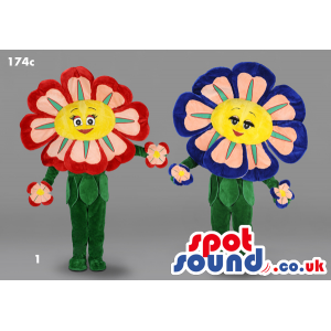 Two Flower Plush Mascots With Two Different Color Combinations