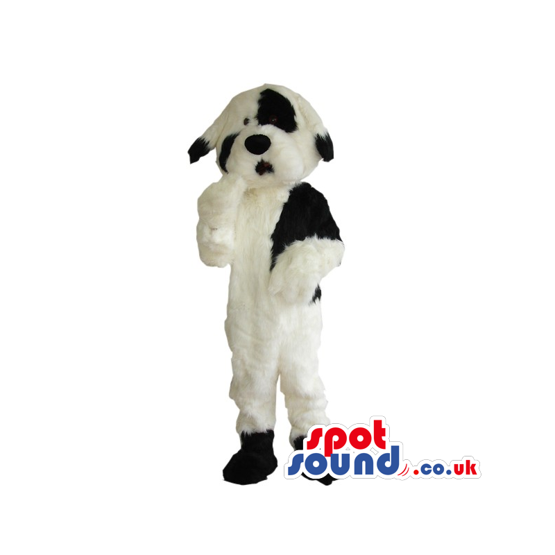 Cute White And Black Hairy Dog Plush Animal Mascot - Custom