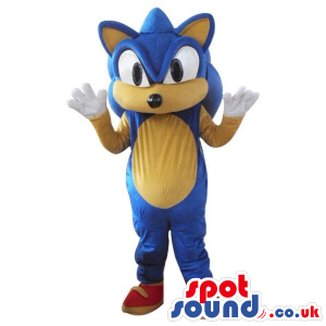 Sonic The Hedgehog Popular Video Game Character Mascot - Custom