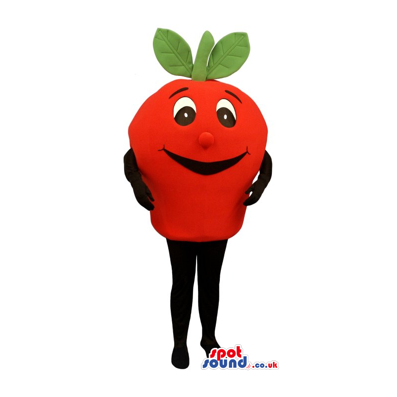 Cute Red Apple Fruit Plush Mascot With A Cartoon Face - Custom