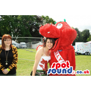 Friendly red welsh dragon with green horns and tongue out -
