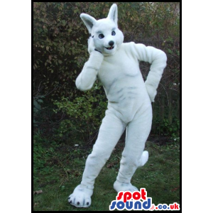 This Is A Big All White Wolf Plush Mascot With Blue Small Eyes