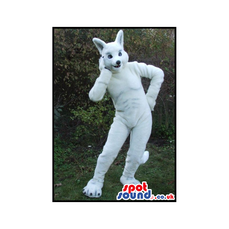 This Is A Big All White Wolf Plush Mascot With Blue Small Eyes