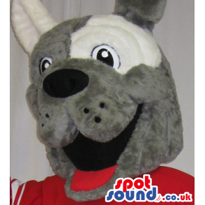 Cute Grey Dog Plush Mascot With White Spots Wearing Red Shirt -