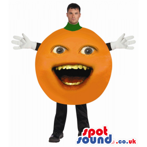Annoying Orange Viral Internet Character Adult Size Costume -