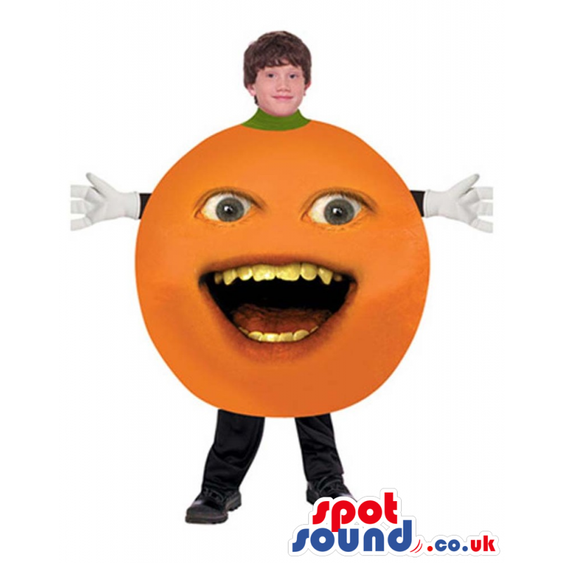 Annoying Orange Viral Internet Character Children Size Costume