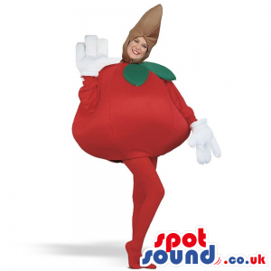 Cool Big Red Apple Fruit Plush Adult Size Costume - Custom